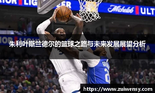 朱利叶斯兰德尔的篮球之路与未来发展展望分析